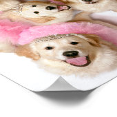 Prinzessin Hunde in Tiaras Poster (Ecke)