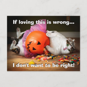 Prinzessin Katze mit Bonbontüte Einladungspostkarte