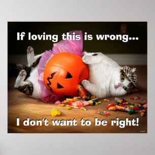 Prinzessin Katze mit Bonbontüte Poster