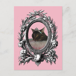 Prinzessin Katze Vintage Rahmen Rosa Hintergrund Postkarte