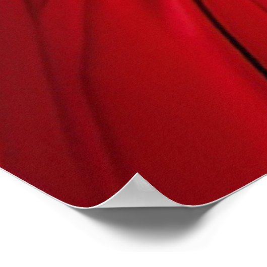 Prinzessin mit rosa und blauen Kleidern Poster (Ecke)