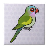 Prinzessin Parrot Fliese (Vorderseite)