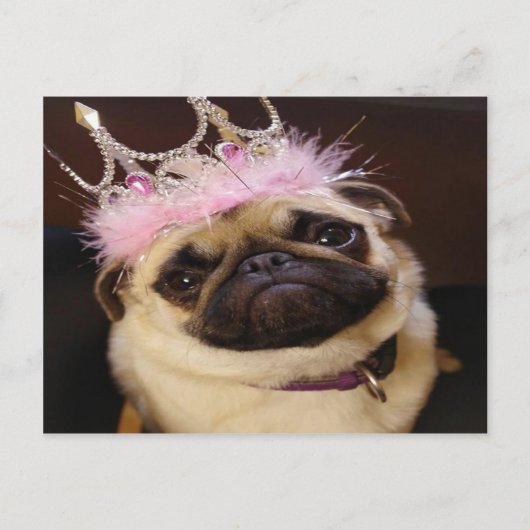 Prinzessin Pug Postkarte (Vorderseite)