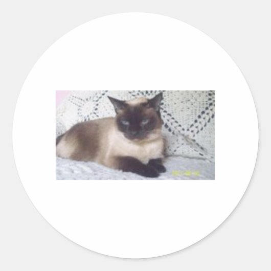 Prinzessin Runder Aufkleber (Vorderseite)