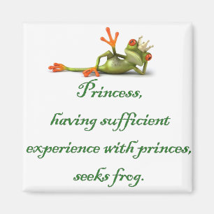 Prinzessin Seeks Frog Square Magnet