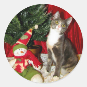 Prinzessin Tianas Weihnachtsbaum - Katze / Kitten Runder Aufkleber