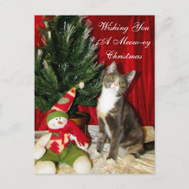 Prinzessin Tianas Weihnachtskarte - Katze / Kitten Feiertagspostkarte