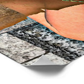 Prinzessin und Drache Poster (Ecke)