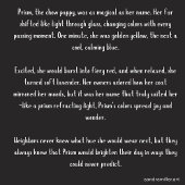 PRISM Chow - Optionen auswählen Notizblock