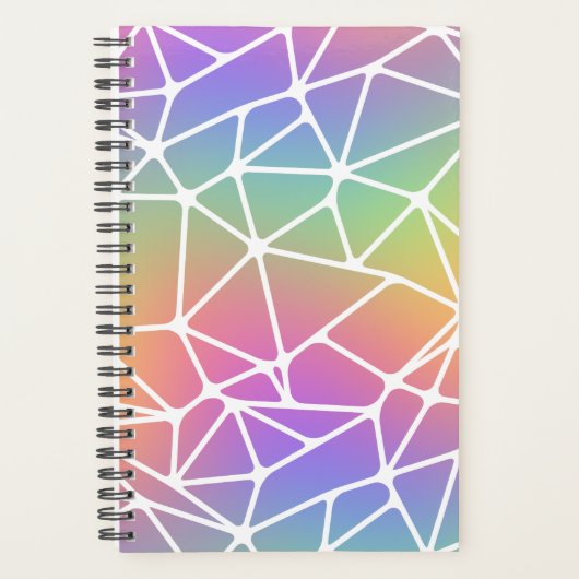 Prism-Synapse-Netz - Regenbogennetz : Planer (Vorderseite)
