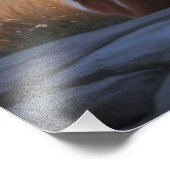 Prismatischer Antler Fotodruck (Ecke)