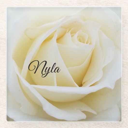 Pristine White Rose Nah-Up Foto Glasuntersetzer (Vorderseite)