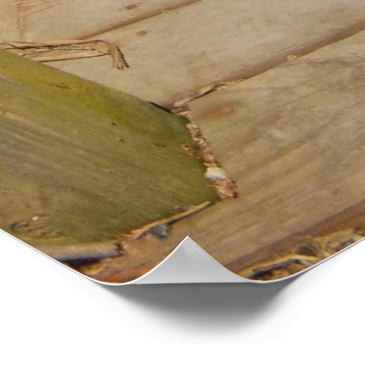 Privatdock Poster (Ecke)