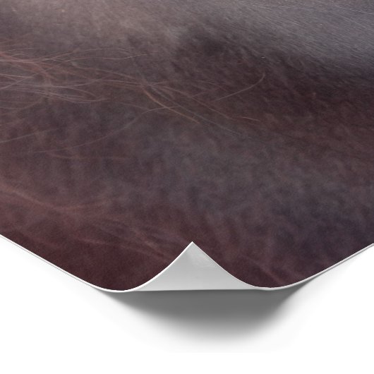 Private Gedanken Pferdeauge Poster (Ecke)