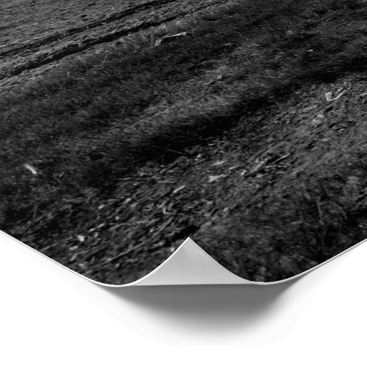 Private Idaho Outhouse Poster (Ecke)