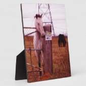 Private Property Lavendel Fotoplatte (Seite)