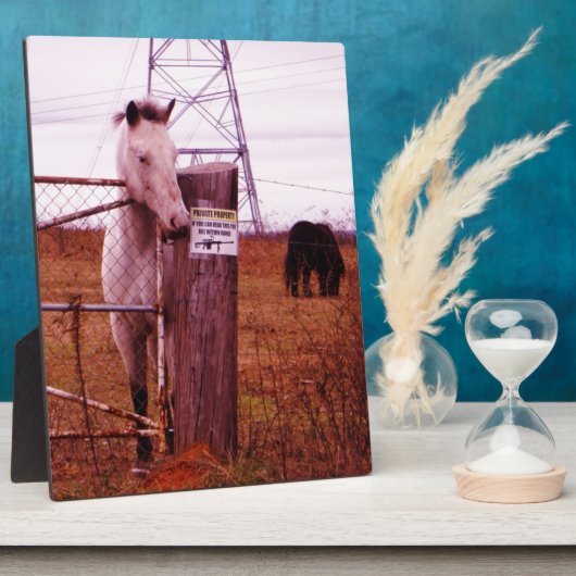 Private Property Lavendel Fotoplatte (Seite)