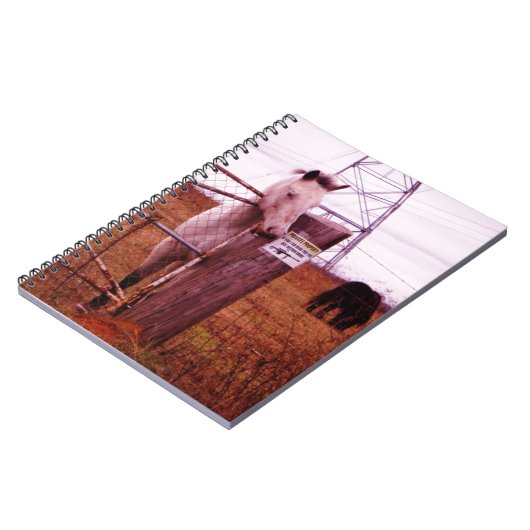 Private Property Lavendel Notizblock (Linke Seite)