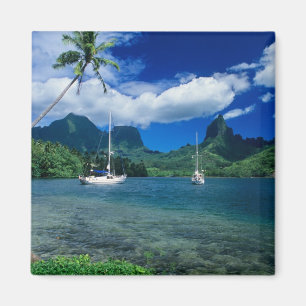 Private Yachten in der Bucht von Opunohu an der K Magnet