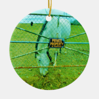 Privateigentum, Pferd Keramikornament