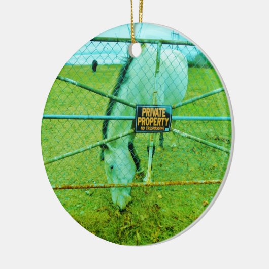 Privateigentum, Pferd Keramikornament (Links)