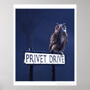 Privates Laufwerk Poster