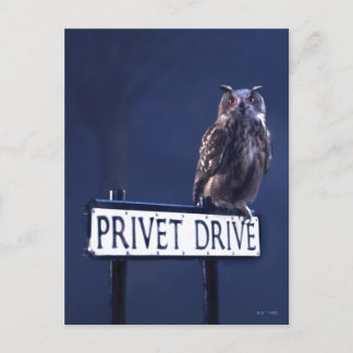 Privates Laufwerk Postkarte