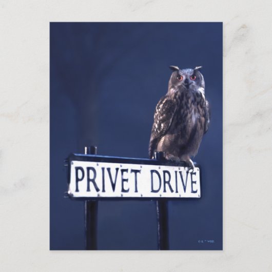 Privet Drive Postkarte (Vorderseite)