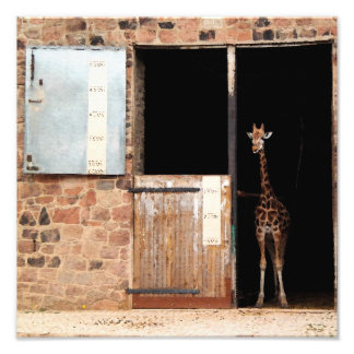 Priya Digital Art Print Fotodruck