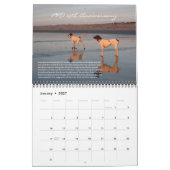 PRO 2025 - 25. Jahrestag Kalender (Jan 2027)
