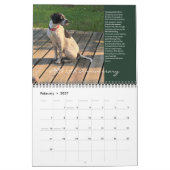 PRO 2025 - 25. Jahrestag Kalender (Feb 2027)