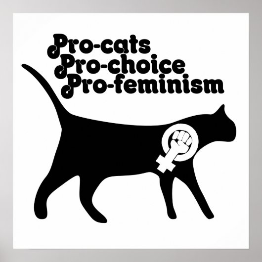 Pro Cats pro Choice pro Feminismus Poster (Vorne)