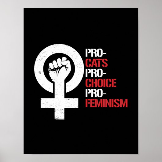 Pro-Cats Pro-Choice Pro-Feminismus — weiß - Poster (Vorne)
