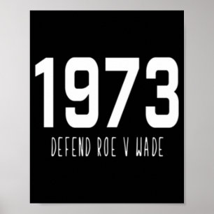 Pro Choice Defend Roe / Wade Women's Rights Poster