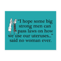 Pro Choice Women Funny Feminist Cartoon Aquamarin