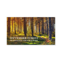 Pro Fotografie (Wald)