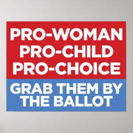 Pro-Frau Pro-Child Pro-Choice 16x12 Window Poster