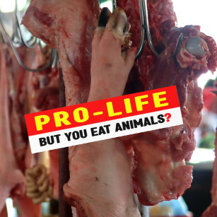 Pro-Life aber du isst Tiere?, Autoaufkleber