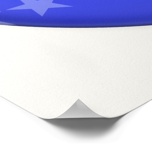 Pro Life Poster (Ecke)