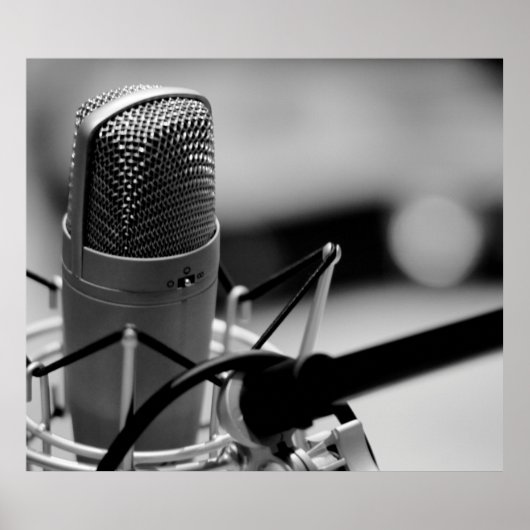 PRO MICROPHONE POSTER (Vorne)