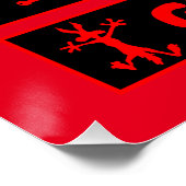 Pro Scooter Free Rider Tricks Poster (Ecke)