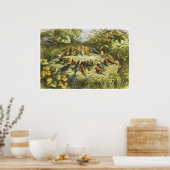 Probe in Fairyland Poster von Richard Doyle (Küche)