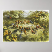 Probe in Fairyland Poster von Richard Doyle (Vorne)