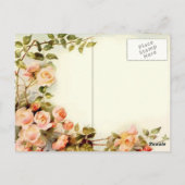 Probe Postkarte (Rückseite)