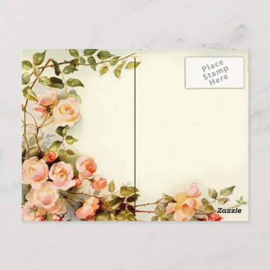 Probe Postkarte (Rückseite)