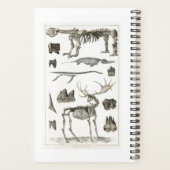 Proben aus Tierknochenstrukturen 2022 Planer (Rückseite)