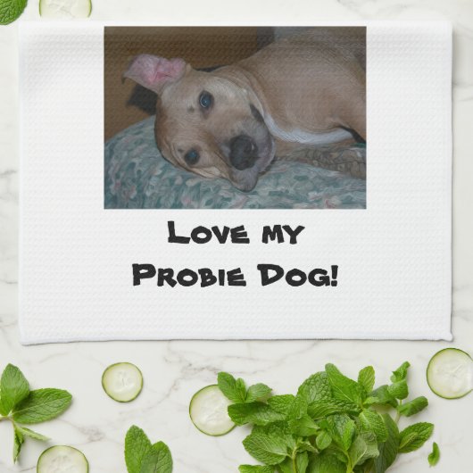 Probie HundeGeschirrtuch Handtuch (Gefaltet)