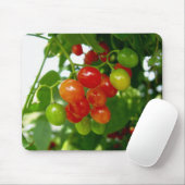 Probieren Sie die Berries Mousepad (Mit Mouse)