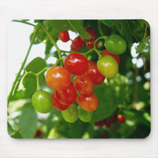 Probieren Sie die Berries Mousepad (Vorne)