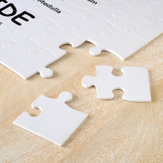 Problematisches Gehirn-Innere (Gehirn-Anatomie) Puzzle (Seite)